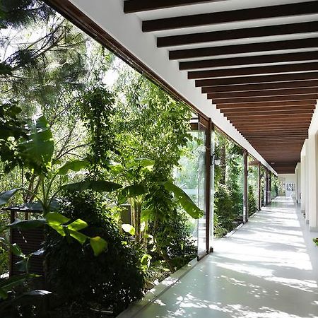 The Lifeco Bodrum Well-Being Detox Center And Vegan Hotel (Adults Only) Göltürkbükü Eksteriør bilde