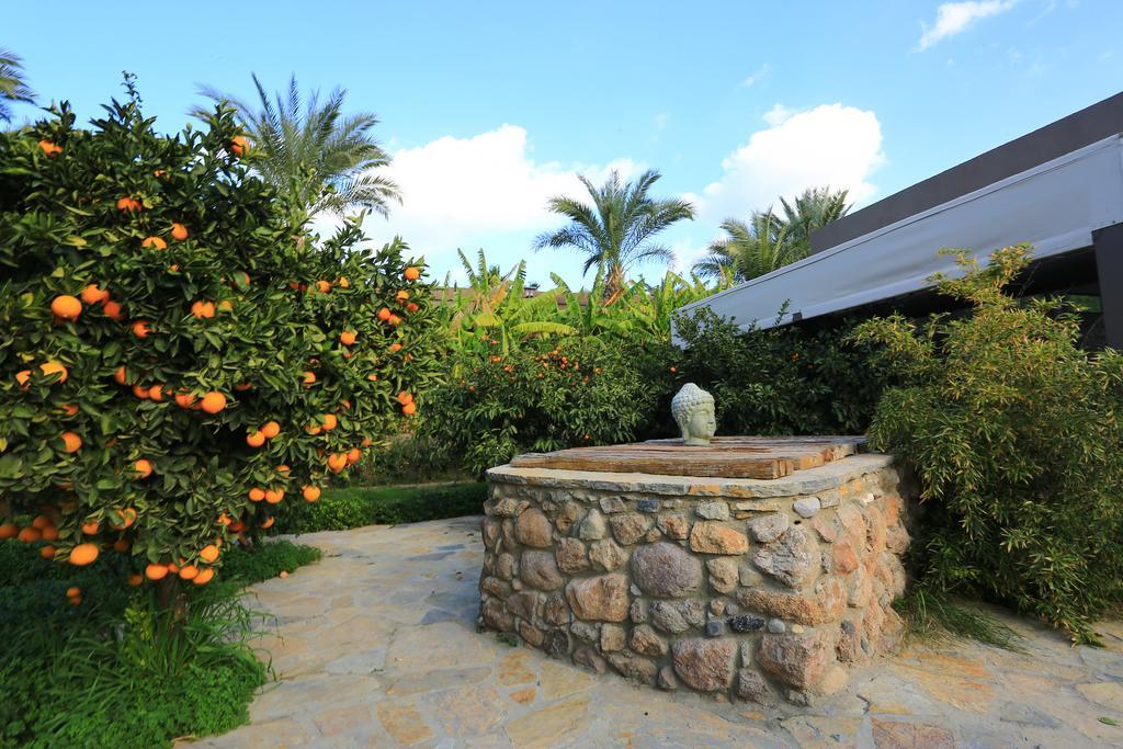The Lifeco Bodrum Well-Being Detox Center And Vegan Hotel (Adults Only) Göltürkbükü Eksteriør bilde