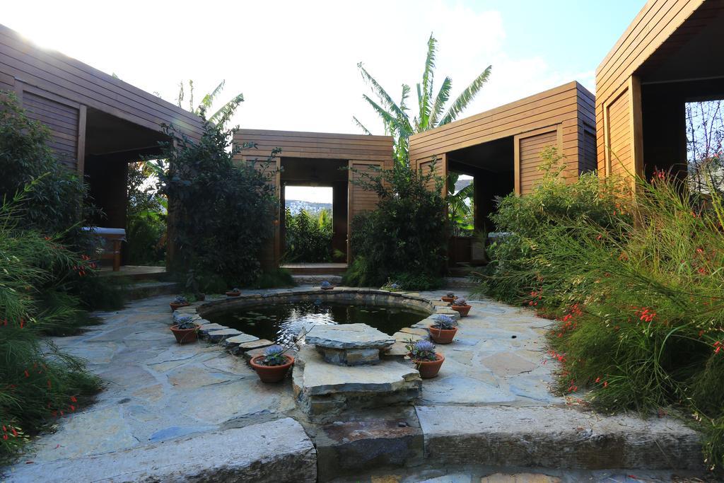 The Lifeco Bodrum Well-Being Detox Center And Vegan Hotel (Adults Only) Göltürkbükü Eksteriør bilde