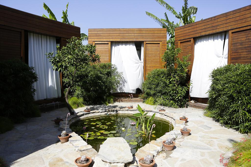 The Lifeco Bodrum Well-Being Detox Center And Vegan Hotel (Adults Only) Göltürkbükü Eksteriør bilde